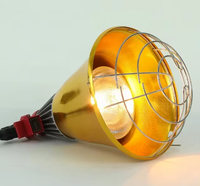 Lampe chauffante industrielle dorée pour animaux – Chauffe-nid réglable et anti-humidité pour l'élevage de volailles (approvisionnement en gros)