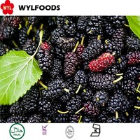 100% Natuurlijk IQF Diepvries Mulberiën Hele Premium Fruit Bulkverpakking voor Groothandel