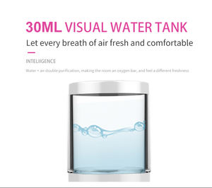 Pulvérisateur facial personnel sans fil nano <span class=keywords><strong>rechargeable</strong></span> portable de 30 ml, <span class=keywords><strong>brumisateur</strong></span> à brume fraîche, humidificateur - Product Image 5