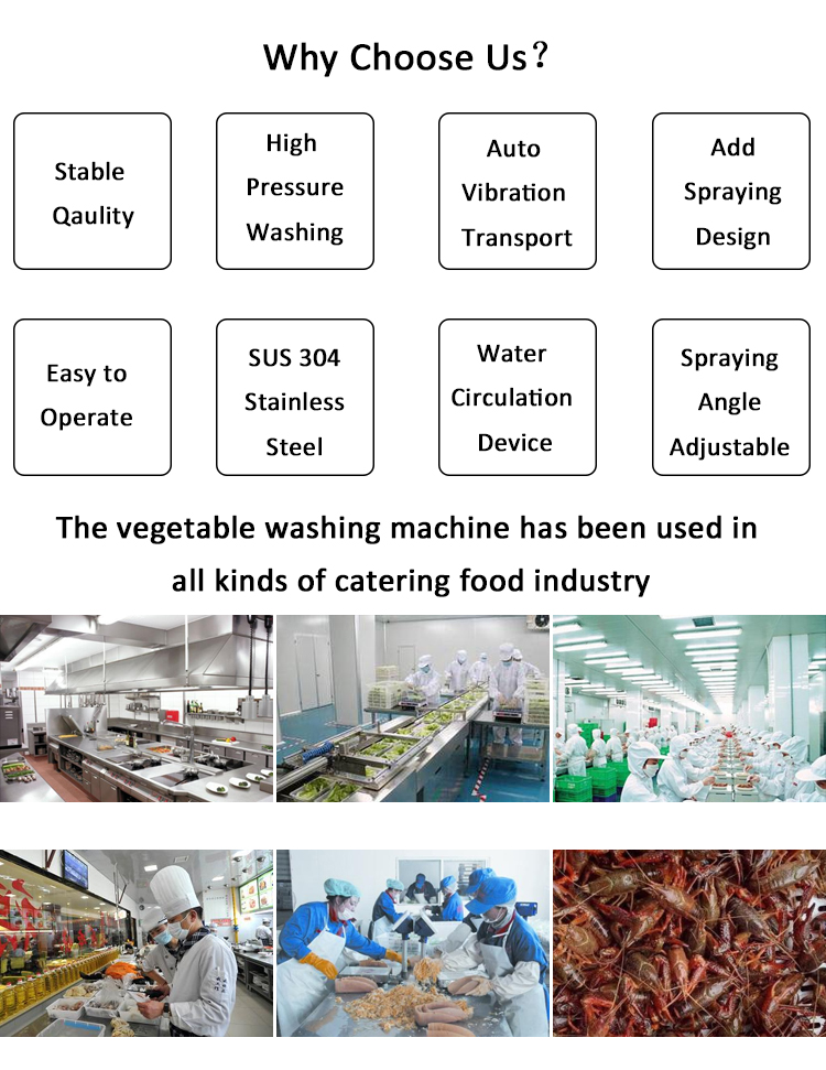 SUS 304 Stainless Steel Industrial Vegetable Washer Machine with 600KG Weight
