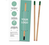 Crayon plantable en gros conceptions personnalisées Logos crayon spécial plantable paquets en pot crayon de graine plantable en bois