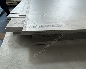 Placa de Titanio ASTM B265 Gr2, Proveedor de Láminas de Titanio Puro - Product Image 3