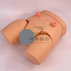 Nuevo Modelo de Cateterismo Masculino y Femenino, Modelo de Enseñanza y Entrenamiento Médico - Product Image 4