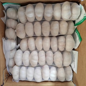 Buon prezzo 2025 vendite calde nuovo aglio fresco con 10KG /20KG sacchetto della maglia rosso aglio e puro aglio bianco per il commercio all'ingrosso - Product Image 3