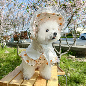 Fabricant vente en gros de chapeaux <span class=keywords><strong>Bonette</strong></span> mignons pour animaux de compagnie vêtements et robes pour chiens Monet Garden Spring Summer Tea Party - Product Image 2