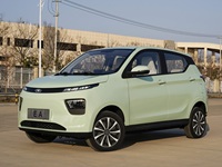 Vehículo de Nueva Energía, Hatchback de 5 Puertas y 4 Asientos, Junchi EA 2025 Modelo Básico con Motor de 34 CV y 1146 kg de Masa Máxima de Carga Completa para Desplazamientos Diarios