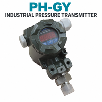 Transmetteur de pression OEM WEDONE 4-20mA 0-5V 1-5V RS485 HART avec options de plage personnalisée, raccord fileté et affichage