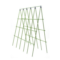 Support de Vigne Réglable pour Plantes Grimpantes, Poteaux de Soutien pour Fleurs et Plantes Vertes