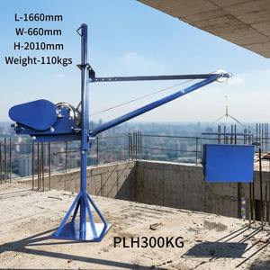 Grúa de Elevación Mini de 300 kg, Suministro Directo de Fábrica - Product Image 1