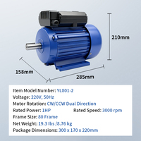Moteur électrique monophasé AC série YL YL802-4-0.75KW pour compresseur d'air
