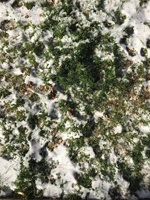 Sel de déneigement MELTWAY de qualité industrielle, série CMA, CaMg Ac, pureté 94%-96%, granulés vert clair, fabriqué en Chine