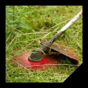 2 Knife Teeth 300x3.0 mm <b>Brush</b> <b>Cutter</b> Disc Italian distributor Italian distributor - Product Image 3