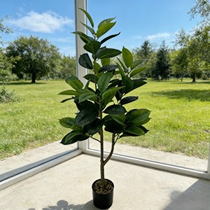 Bonsái de Árbol de Caucho para Decoración de Interiores, Planta Artificial con Hojas Simuladas - Product Image 3