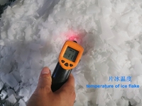 Hot Sell Commercial 1 2 3 tonnes Machine à glace en flocons pour usine de glace en flocons avec évaporateur de glace en flocons de poisson