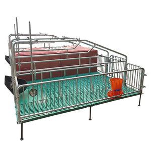 Comfortable Pig Farm <strong>Equipment</strong> Farrowing Crate and <strong>Other</strong> <strong>Animal</strong> <strong>Husbandry</strong> <strong>Equipment</strong> for Caring <strong>Animals</strong> in Relaxing Cages - Product Image 3