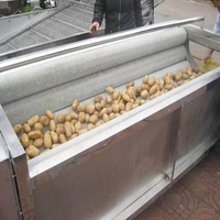 Automatische gemotoriseerde aardappel-, cassave-, yam- en fruitwasmachine en -schiller voor de verwerking van groenten en wortelen