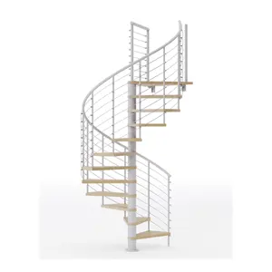 חיצוני ספירלת מדרגות חיצוני פלדת מדרגות