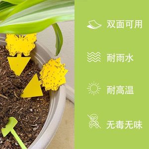 Pièges à mouches pour plantes d'intérieur et plantes en pot, piège à insectes collant jaune en forme de papillon, lutte antiparasitaire pour le jardinage domestique - Product Image 2