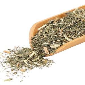 Nhà máy cung cấp 100% thảo dược tự nhiên cây tầm ma lá cắt số lượng lớn bán buôn châm chích cây tầm ma lá trà Urtica fissa E. Pritz - Product Image 1