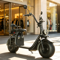 Nouvelle moto électrique à grande vitesse de 1500 watts et 60 volts, moto électrique pour adultes, adaptée aux adultes