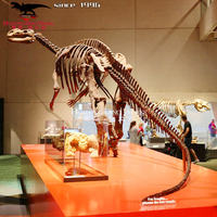 Modelo de Hueso de Dinosaurio Artificial de Fibra de Vidrio FRP, Exhibición Educativa para Interiores y Exteriores, Personalizable para Centros Comerciales y Parques de Aventuras