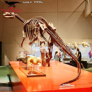 Modelo de Hueso de Dinosaurio Artificial de Fibra de Vidrio FRP, Exhibición Educativa para Interiores y Exteriores, Personalizable - Product Image 5