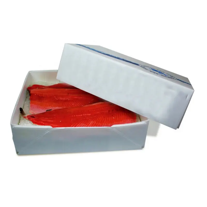 Caixas de embalagem para produtos de carne congelada de plástico corrugado