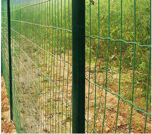 Isıl işlem görmüş çelik tel örgü hollanda çit Modern tasarım 3D modelleme hizmeti mevcut galvanizli PVC kaplı kemirgen geçirmez - Product Image 6