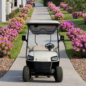 Voiturette de golf électrique chinoise 4 places de qualité promotionnelle à prix avantageux, très vendue pour les routes non publiques - Product Image 1