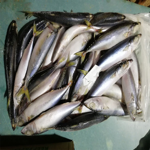 Nueva roster stock frozen Pacific style Mackrel - Product Image 3