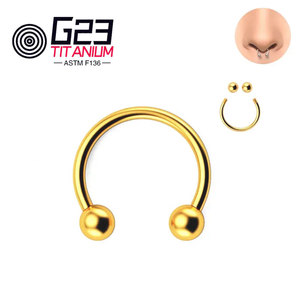 <span class=keywords><strong>Anneau</strong></span> de nez en titane de base G23/ASTM F136, <span class=keywords><strong>anneau</strong></span> de <span class=keywords><strong>Piercing</strong></span>, cerceau à vis en fer à cheval, clous de boucle d'<span class=keywords><strong>oreille</strong></span> pour femmes, <span class=keywords><strong>oreille</strong></span> de nez - Product Image 4