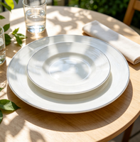 Assiettes en plastique jetables à bord argenté, assiettes rondes blanches pour dîner, assiettes réutilisables pour fêtes, mariages, anniversaires, banquets, événements