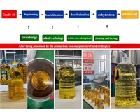 Désodorisant complet pour huile comestible-Conception en acier inoxydable pour machine de raffinerie d'huile végétale sans odeur