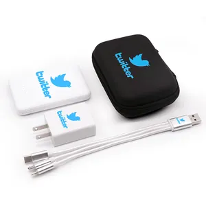 Set Hadiah Promosi Logo Kustom OEM, Set Power Bank 5000Mah dengan 2A Pengisi Daya Usb dan Kabel Usb dan Tas Earphone