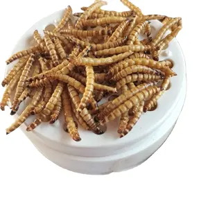 Высококачественный высокобелковый сухой корм для домашних животных с сушеными ячменными червями