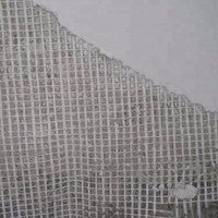 La Construction des Murs De Plâtre En Fiber De Verre Maille