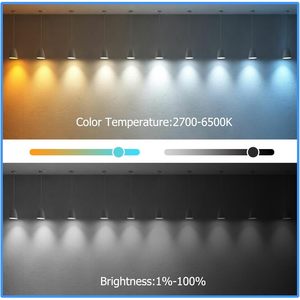 Lampadina LED Intelligente Antela E14 4.5W 470Lm Dimmerabile da Bianco Caldo a Bianco Freddo Compatibile con Alexa Alimentazione AC - Product Image 6