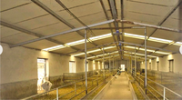 Bâtiment d'élevage moderne préfabriqué en acier léger galvanisé pour moutons et chèvres, résistant à la corrosion, résistance au vent 121+ mph, indice 5+
