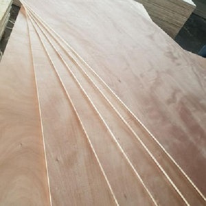 Madera contrachapada de abedul 4x8, el mejor precio, 3/4 - Product Image 3