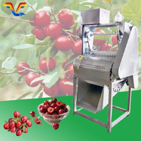 Hoge capaciteit gepersonaliseerde fruitzaadverwijderingsmachine olijfpitmachine met geweldige prijs