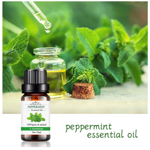 Prix de gros Parfum saveur alimentaire <span class=keywords><strong>huile</strong></span> de menthe fraîche marque privée prix de gros <span class=keywords><strong>huile</strong></span> de massage corporel <span class=keywords><strong>huile</strong></span> de menthe poivrée en vrac - Product Image 6