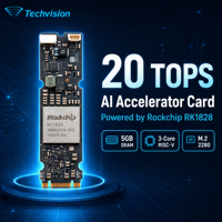 Kartu Akselerator AI Techvision RK1828 20 TOPS Modul NPU M.2 2280 Co-Prosesor AI Universal untuk SMARC SOM & Semua Papan Pembawa