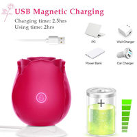 AIERSHA Jouet Rose Étanche à Ventouse Clitoridienne, Stimulateur d'Allaitement en Silicone pour Adultes, Vibrateur Rose
