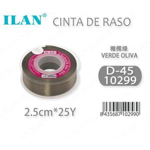Nastro in Raso ILAN 2,5cm 25Y Verde Oliva D-45 - Product Image 3