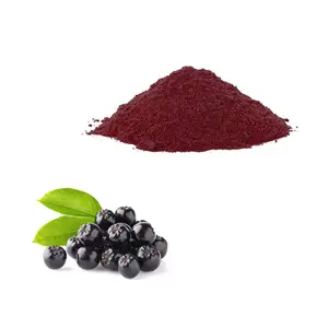Fábrica Fornecimento Atacado Black Chokeberry Extrato Aronia Chokeberry Extrato Em Pó 25% antocianina