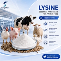 Sulfate de Lysine 98% Chlorhydrate de Lysine Qualité Alimentaire Acides Aminés Suppléments Nutritionnels pour Animaux 25kg Additifs Alimentaires Gongchen