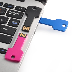 Clé USB 2.0/3.0 en acier inoxydable lisse en forme de clé, nouveau modèle à prix réduit, avec garantie d'un an, marque privée, qualité supérieure garantie - Product Image 2