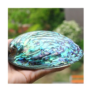 เปลือกหอยเป๋าฮื้อขัดมันเงาจากธรรมชาติสำหรับตกแต่ง,เครื่องประดับเปลือกหอยเป๋าฮื้อธรรมชาติเปลือกธรรมชาติบริสุทธิ์ - Product Image 2