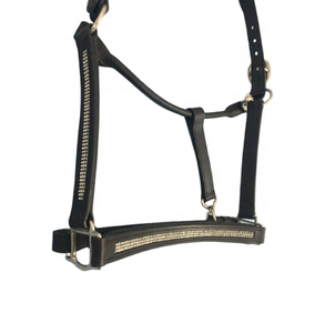 Harnais pour cheval en cuir de polo de qualité supérieure, cuir de vache argentin, cousu à la main traditionnellement - Product Image 2