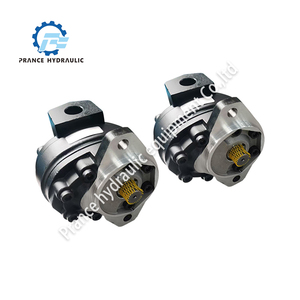 Prance 70453 78453 70423 Cast Iron Piston <b>Pump</b> CE ROHS Certified 45cc Displacement 265 <b>Bar</b> Operating Pressure 1 Year Warranty - Product Image 4